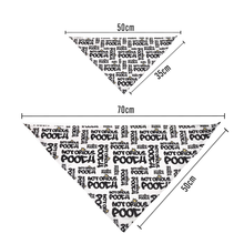 Load image into Gallery viewer, Style & Grace Scarf