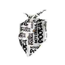 Load image into Gallery viewer, Style & Grace Scarf