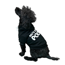 Load image into Gallery viewer, The Logo Hoodie