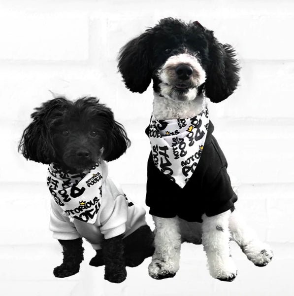 Bandanas: They're More Than Just for Style!
