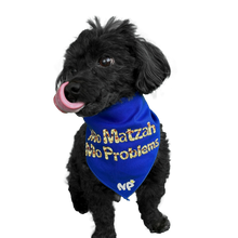 Load image into Gallery viewer, Mo Matzah Mo Problems Bandana
