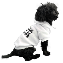 Load image into Gallery viewer, The Logo Hoodie
