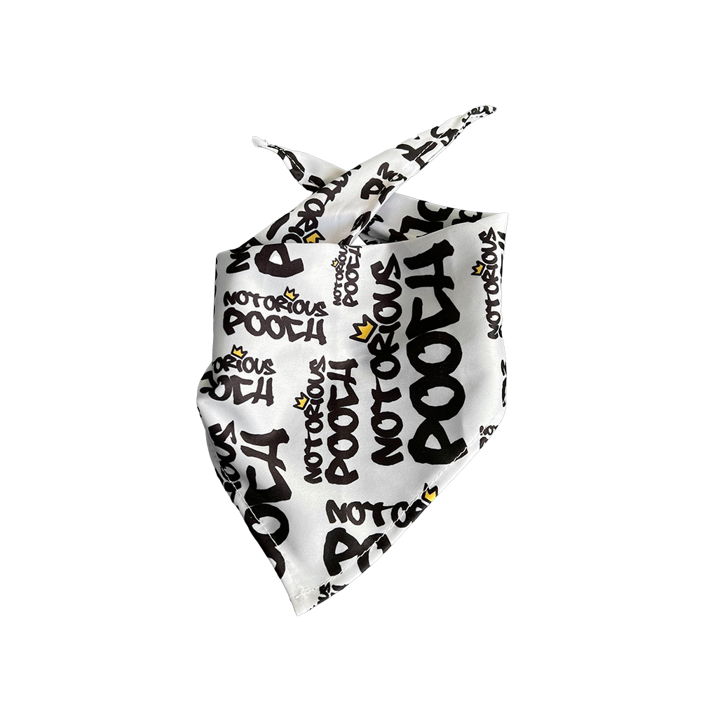 Style & Grace Scarf