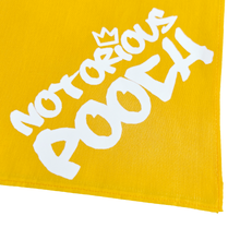 Load image into Gallery viewer, Summer Vibes Bandana
