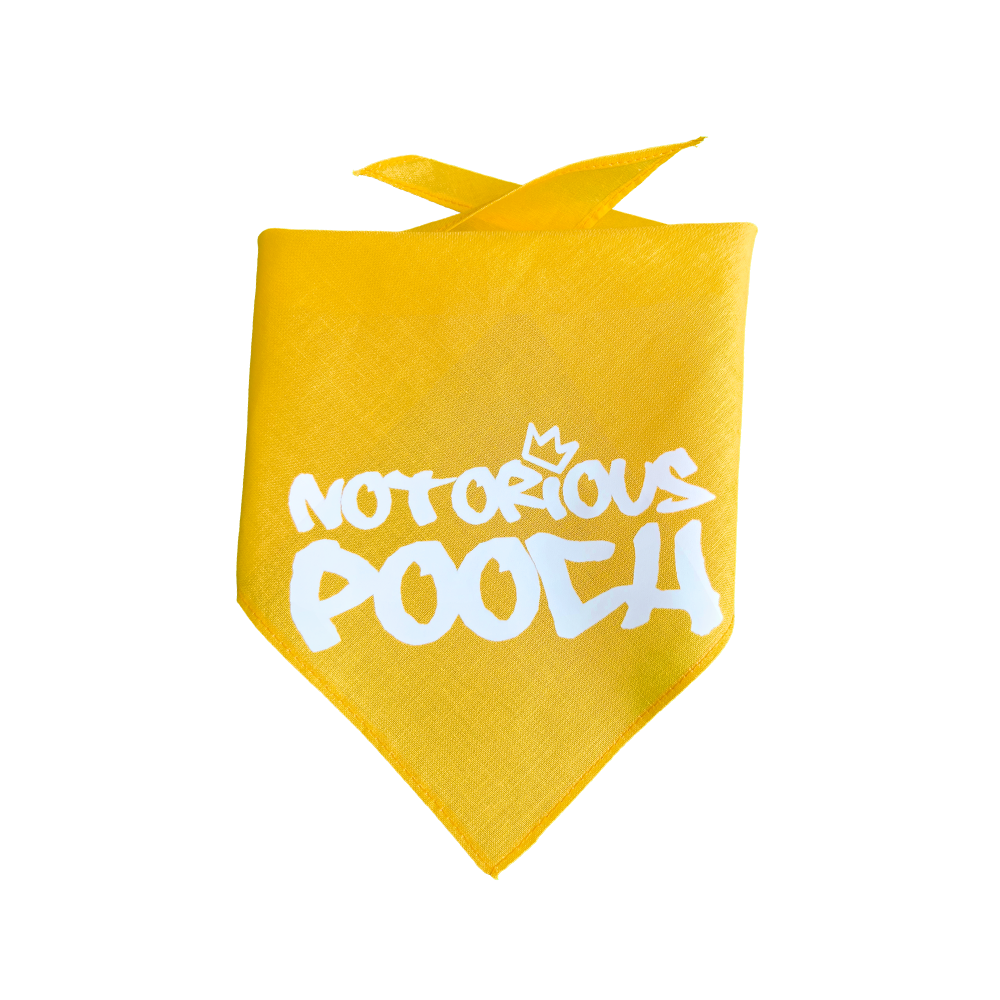 Summer Vibes Bandana
