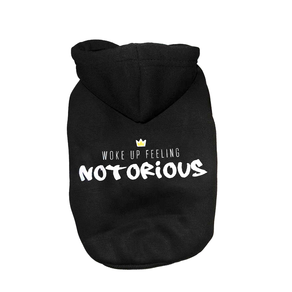 Woke Up Feeling Hoodie