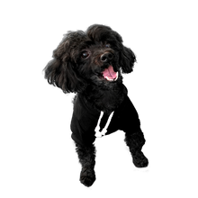 Load image into Gallery viewer, Doggy Style Hoodie
