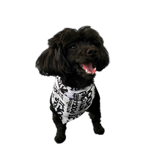 Load image into Gallery viewer, Style &amp; Grace Scarf
