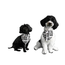 Load image into Gallery viewer, Style &amp; Grace Scarf
